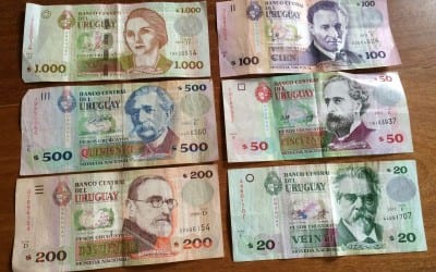 Pesos 101 Following the money